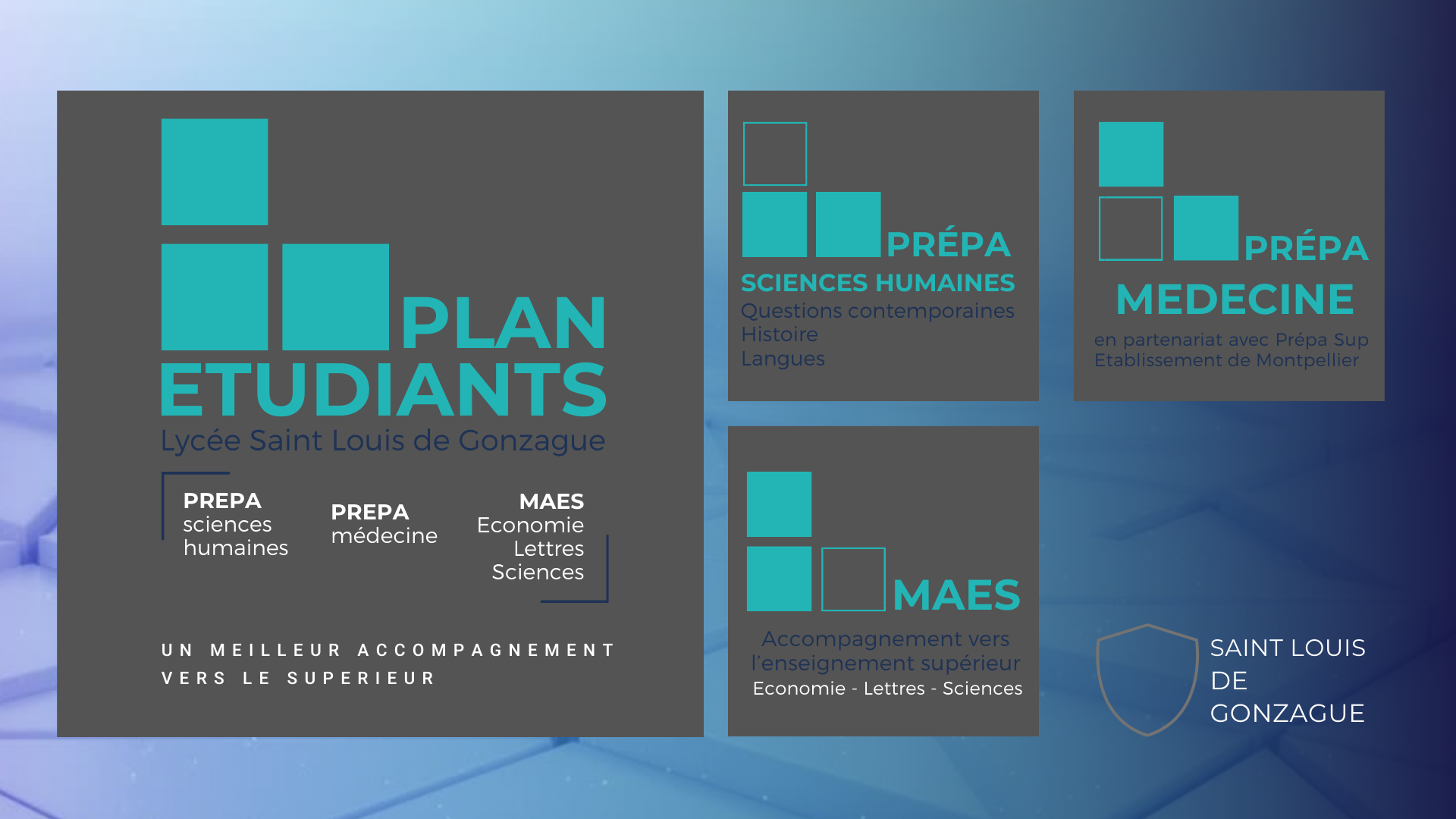 Saint Louis de Gonzague › Lycée › Préparation au supérieur