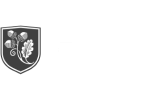 Academica International Studies