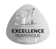 Excellence numérique niveau 3