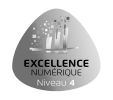 Excellence numérique niveau 4